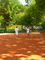 tennis John 37 zensenis Vilnius